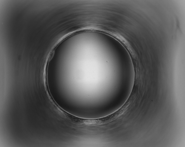 X0000089421199200706151245