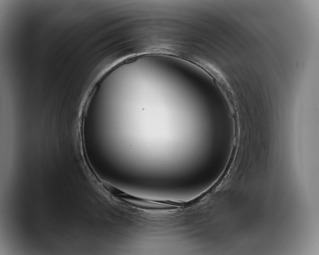 X0000089421200200706151245
