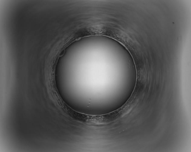 X0000089421201200706151244