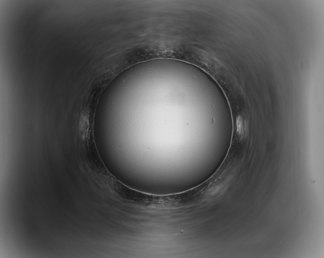 X0000089421203200706151244