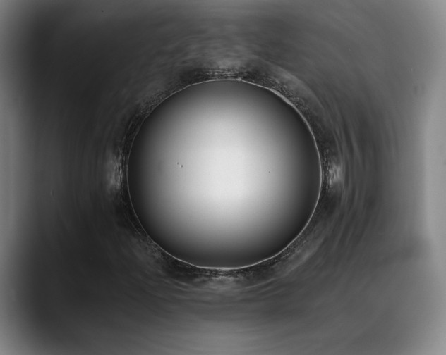 X0000089421204200706151244