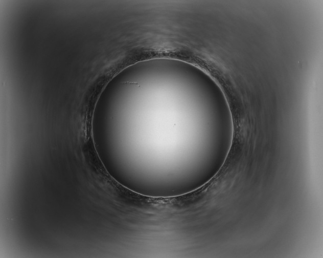 X0000089421205200706151244