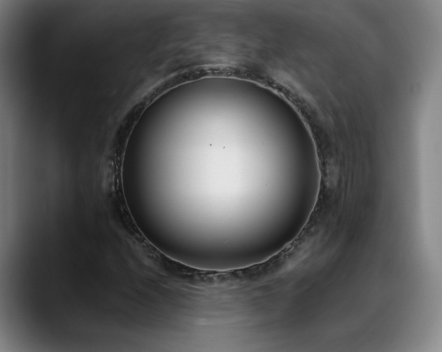 X0000089421208200706151244