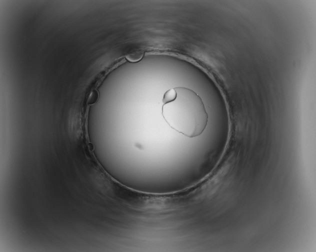 X0000089421211200706151244