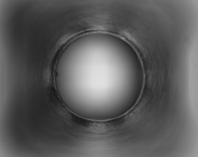 X0000089421215200706151244