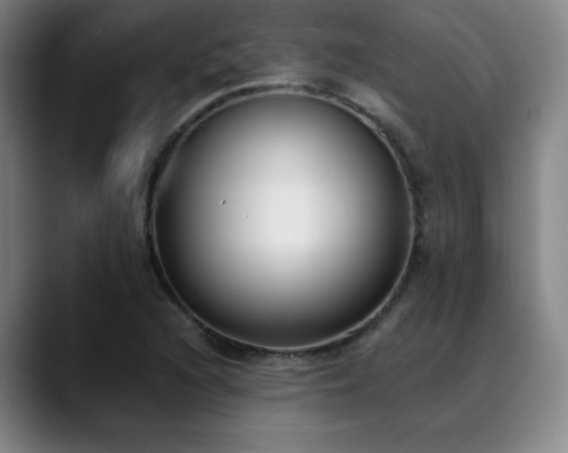 X0000089421216200706151244
