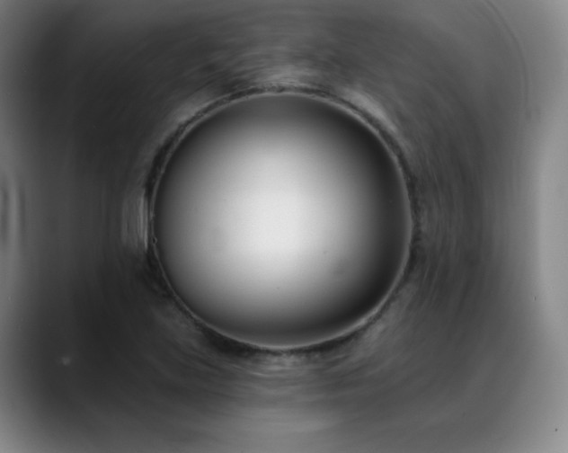 X0000089421219200706151244