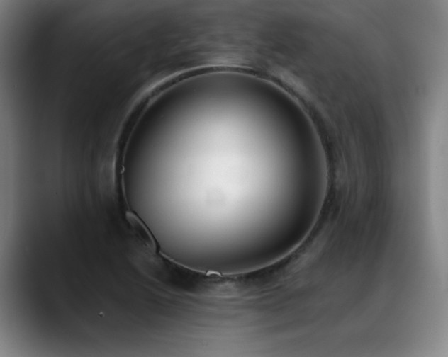 X0000089421222200706151244