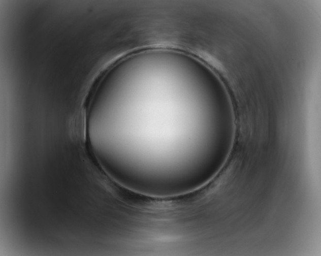 X0000089421223200706151244