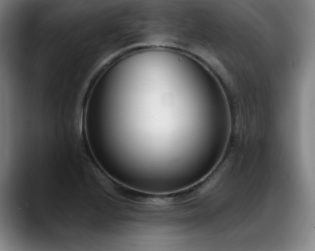X0000089421224200706151244