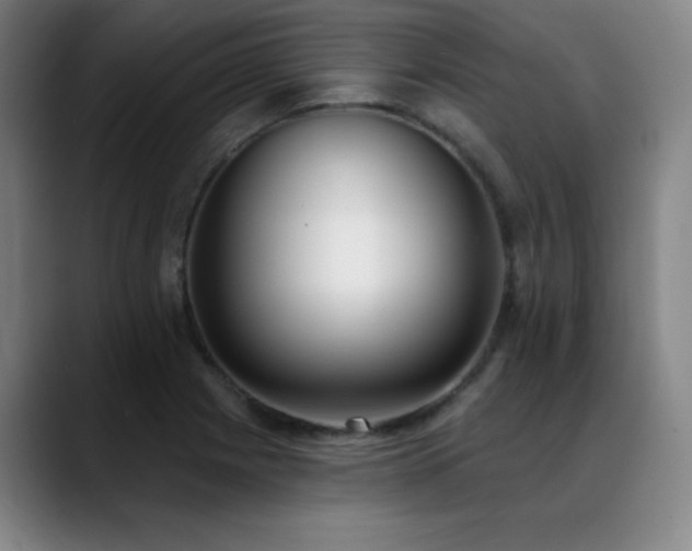 X0000089421225200706151244