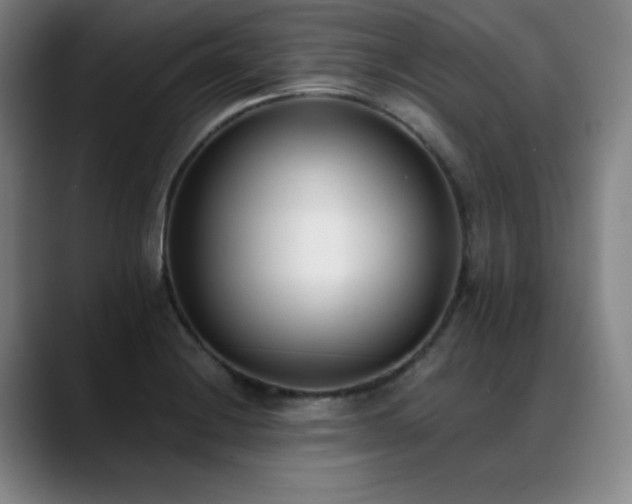 X0000089421228200706151244