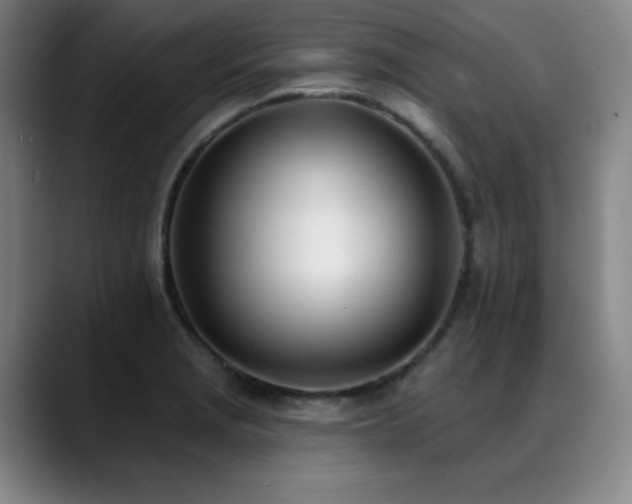 X0000089421229200706151244