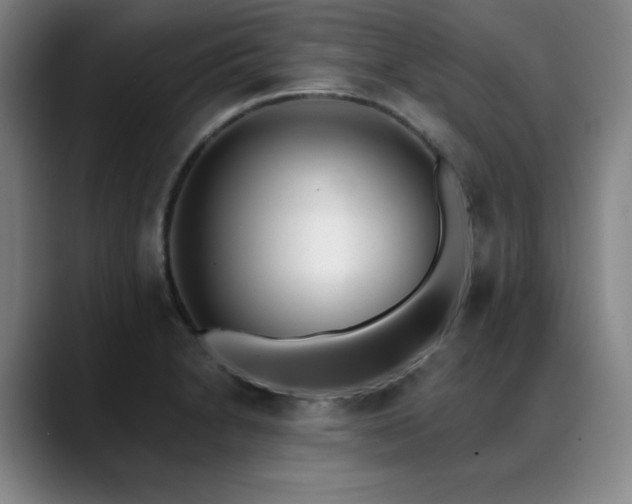 X0000089421230200706151244