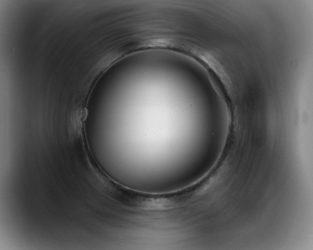 X0000089421233200706151244