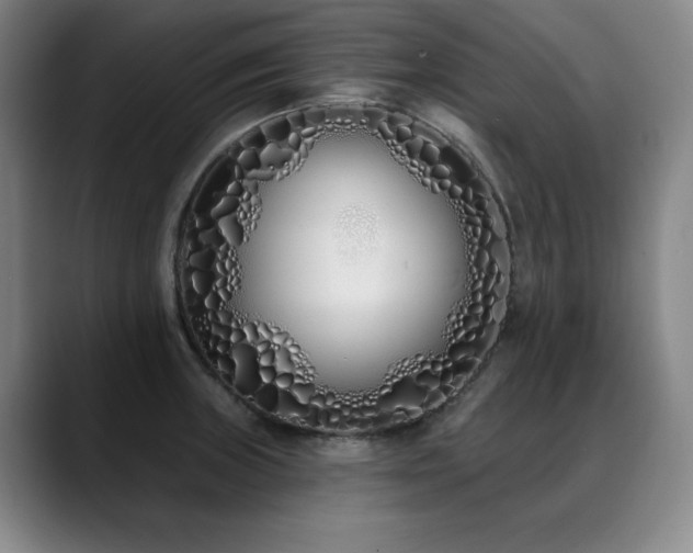 X0000089421235200706151244