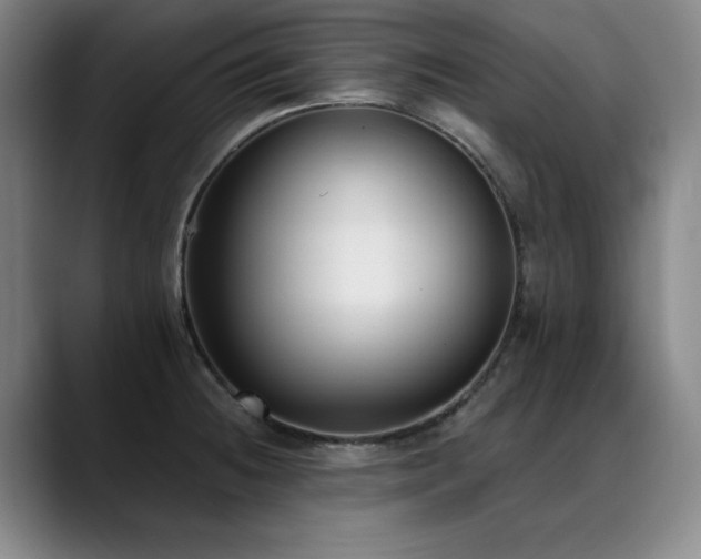 X0000089421236200706151245