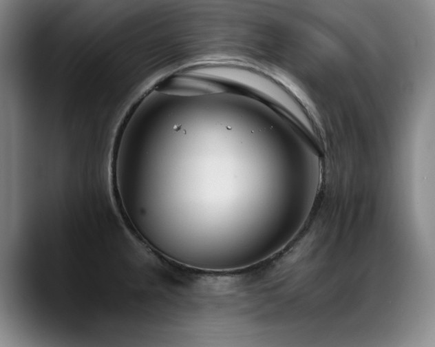 X0000089421237200706151245