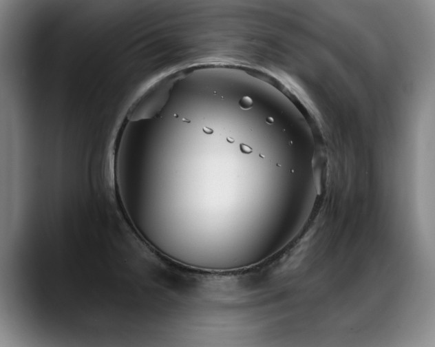 X0000089421238200706151245