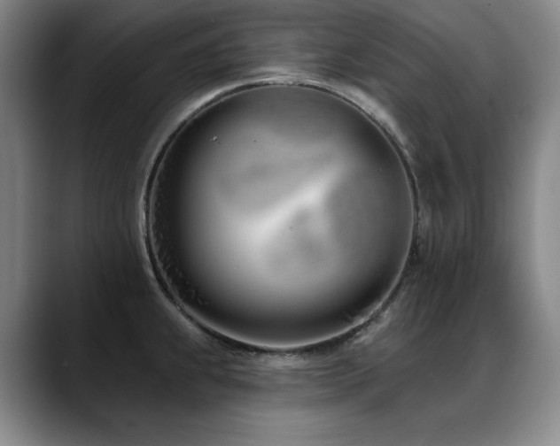 X0000089421239200706151245