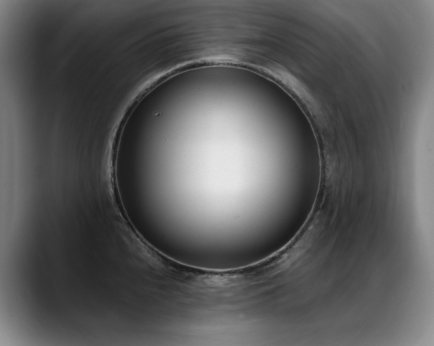 X0000089421240200706151245