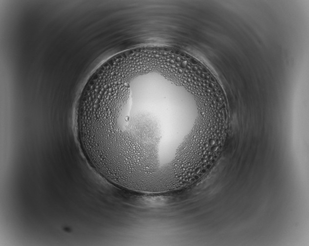 X0000089421243200706151245