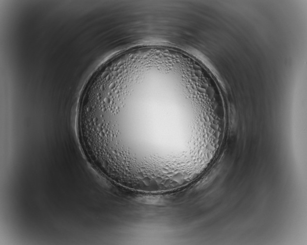 X0000089421245200706151245