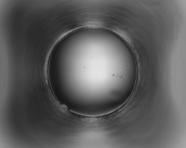 X0000089421248200706151245