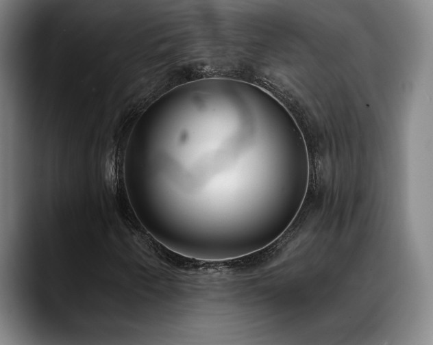X0000089421250200706151244