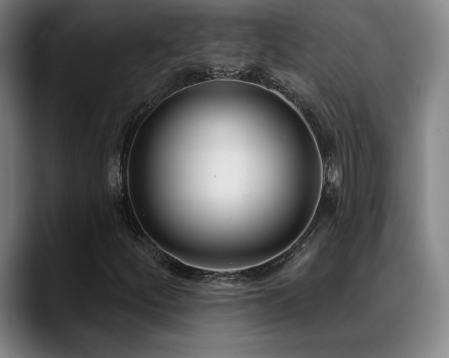 X0000089421252200706151244