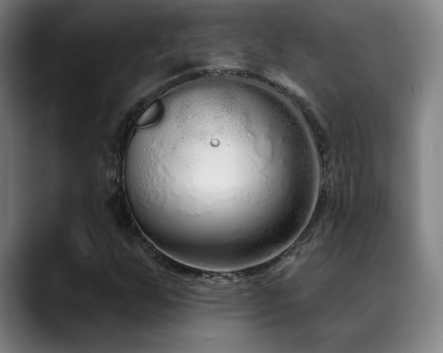 X0000089421255200706151244