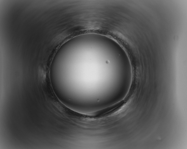 X0000089421257200706151244