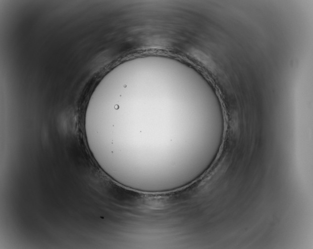 X0000089421258200706151244