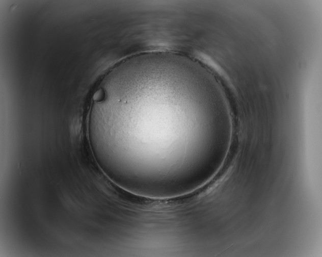 X0000089421259200706151244