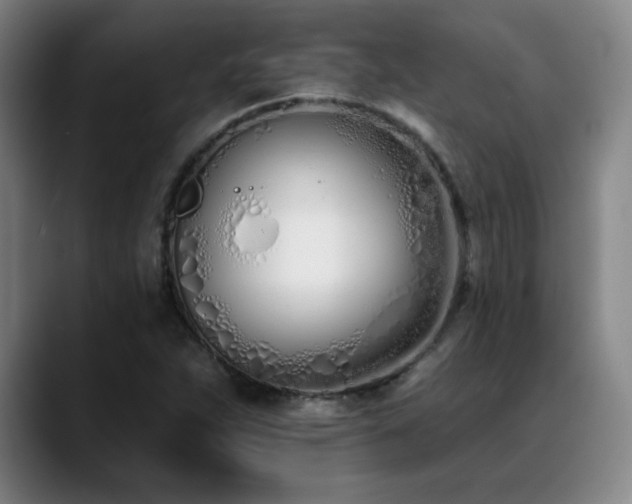 X0000089421263200706151244