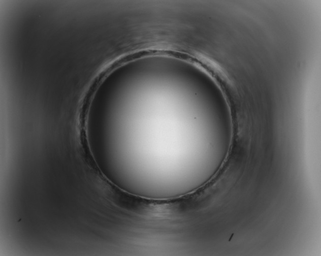 X0000089421264200706151244