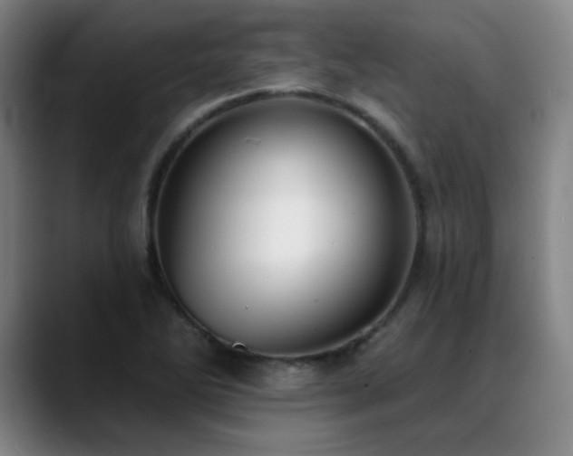 X0000089421270200706151244