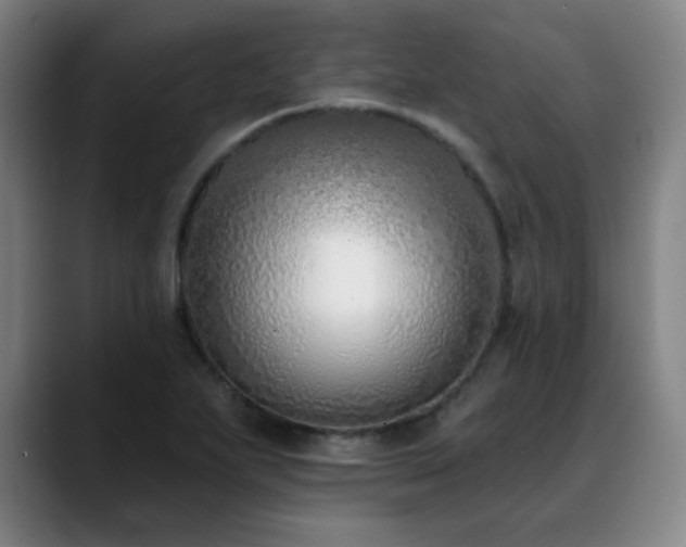 X0000089421271200706151244