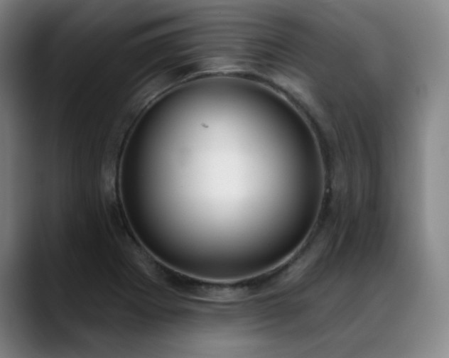 X0000089421273200706151244
