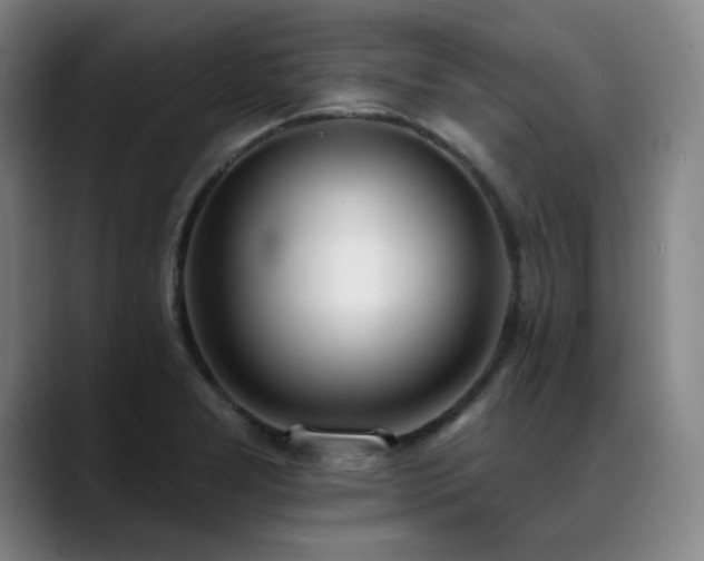 X0000089421277200706151244