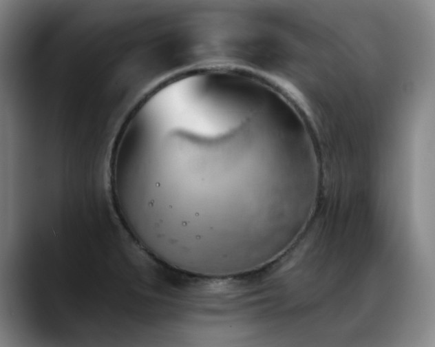 X0000089421279200706151244