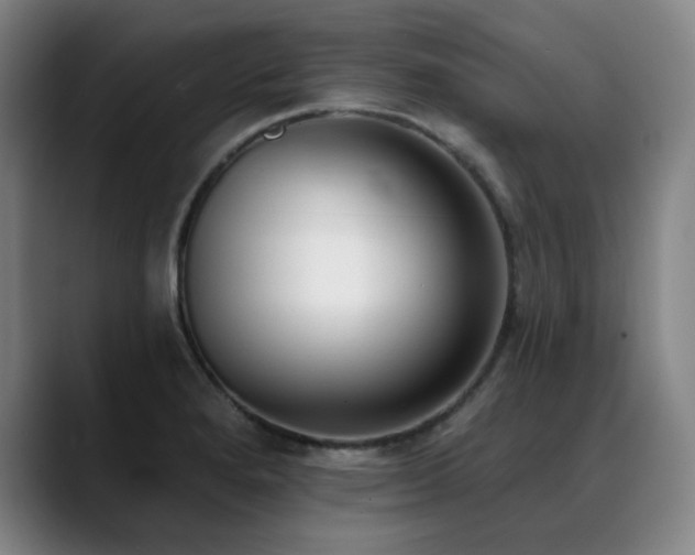 X0000089421280200706151244