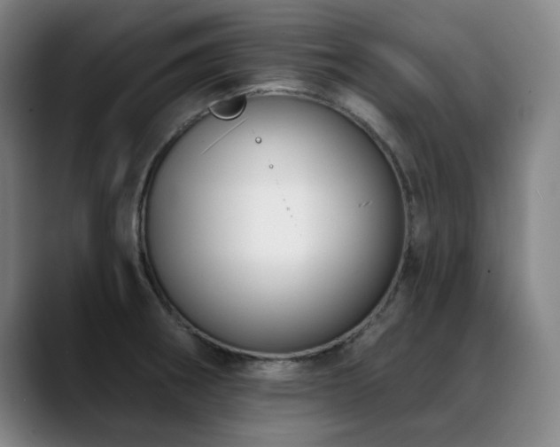 X0000089421282200706151244