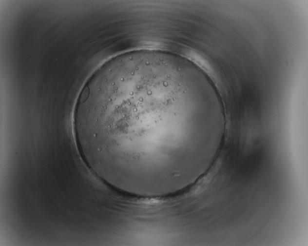 X0000089421283200706151244