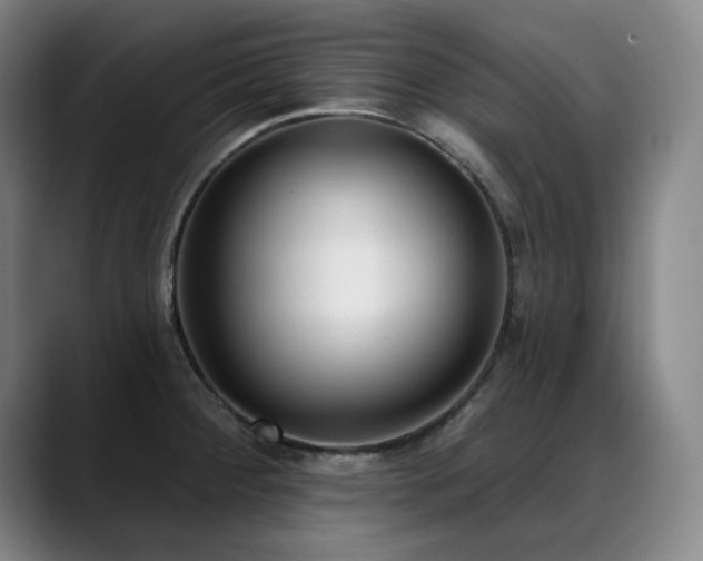 X0000089421284200706151244
