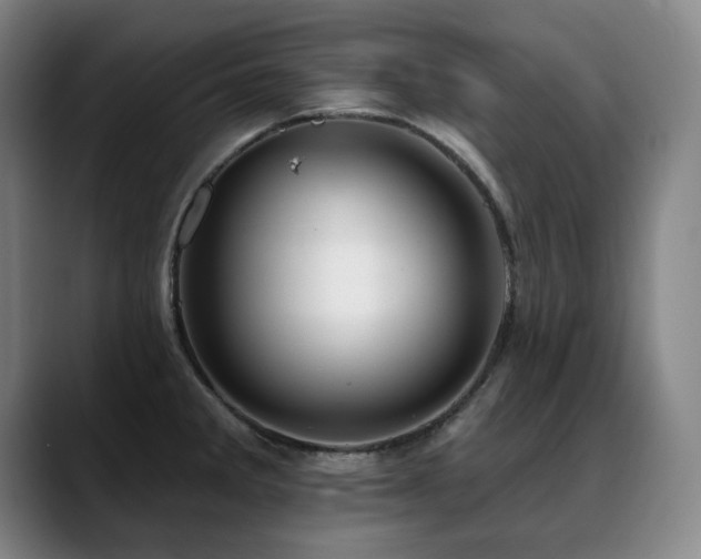 X0000089421285200706151244