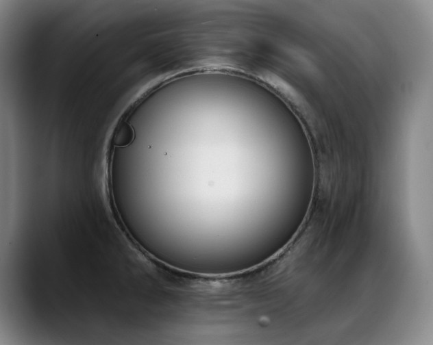 X0000089421286200706151244