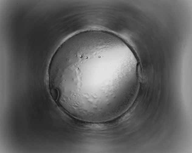 X0000089421287200706151244