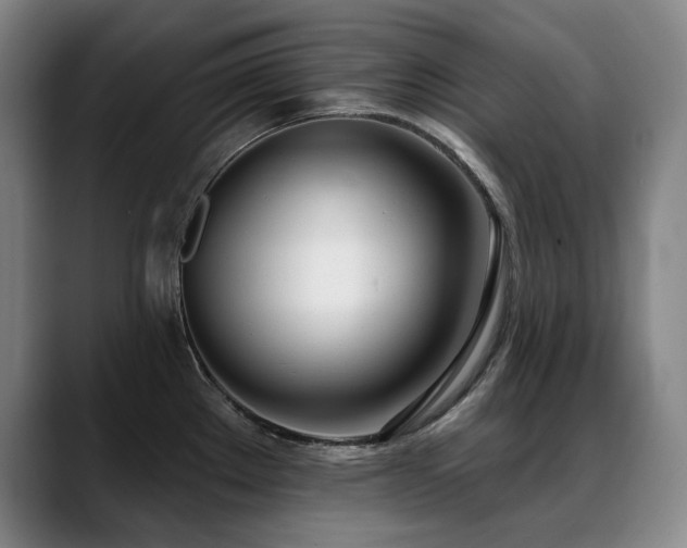X0000089421289200706151244