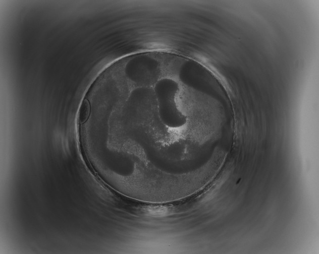 X0000089421291200706151244
